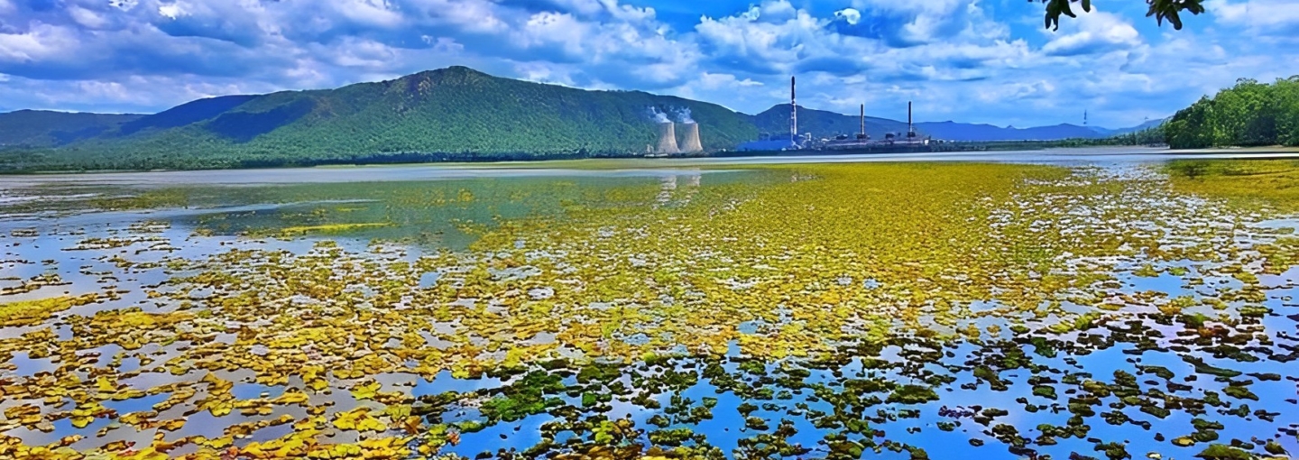 KCPxkOsj36kbxNL4lYbnPqAvhP2tLqOAAA6UaJUnlW8_plaintext_638258618145506824 1