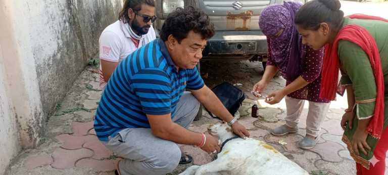 क्षेत्र के युवाओं द्वारा गौ सेवा की अनुकरणीय पहल