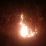 भोलेनाथ टेकड़ी पर लगी आग बुझाते समय आरक्षक के हाथ झुलसे