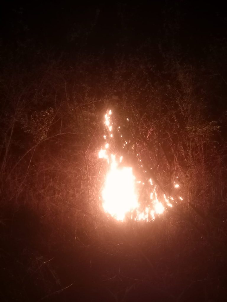 भोलेनाथ टेकड़ी पर लगी आग बुझाते समय आरक्षक के हाथ झुलसे