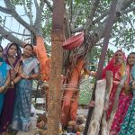 वट सावित्री पर्व पर सुहागिन महिलाओं ने रखा निर्जला व्रत, पति की दीर्घायु की कामना की